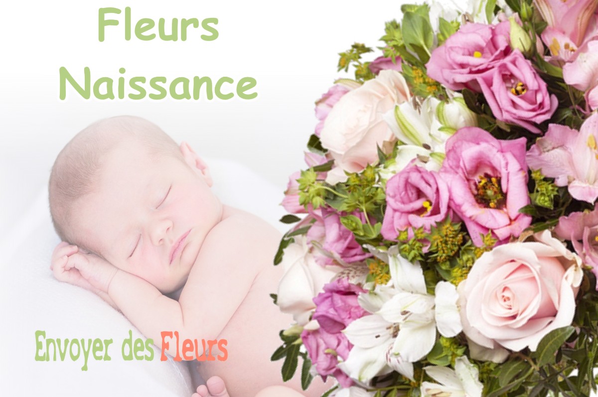 lIVRAISON FLEURS NAISSANCE à SAINTE-MENEHOULD